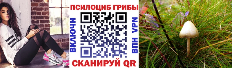 Галлюциногенные грибы Magic Shrooms  Шагонар 